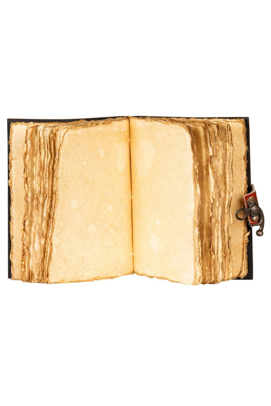 Antique Paper Butterfly Journal 🦋