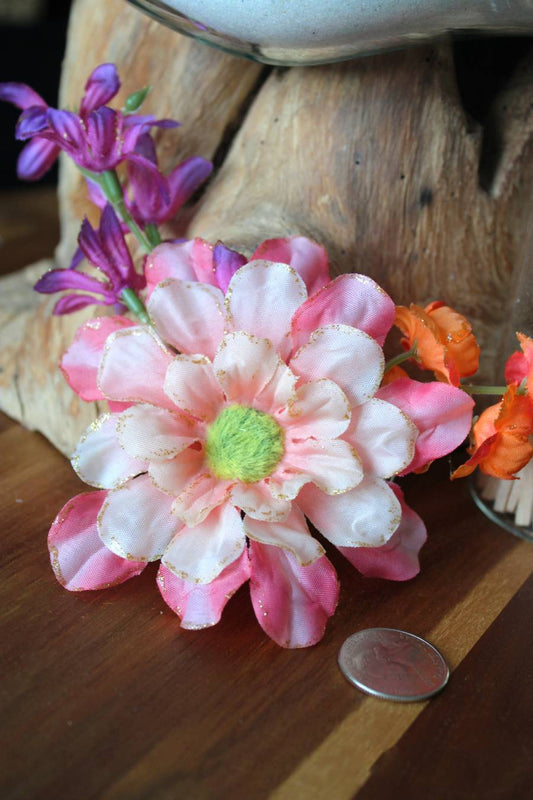 Coral Blooms Flourish