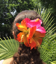 Load image into Gallery viewer, Hot Pink & Orange Hibiscuses