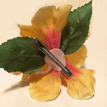 Load image into Gallery viewer, Orange Sunset Hibiscuses