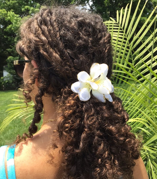 Mini White Plumerias