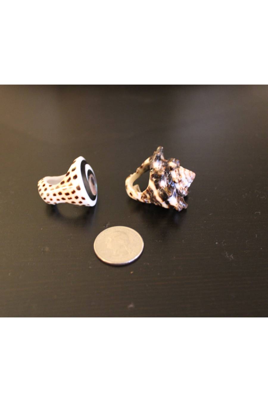 Queen of the Ocean Seashell Ring