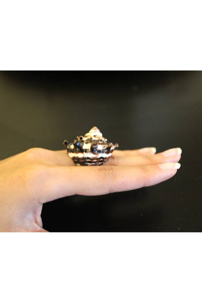 Queen of the Ocean Seashell Ring