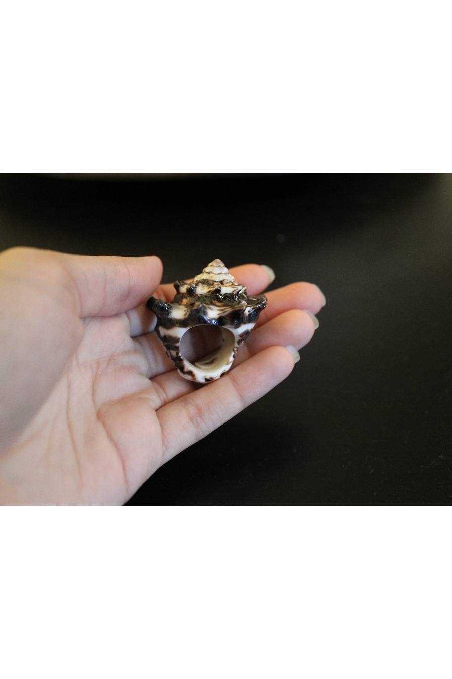 Queen of the Ocean Seashell Ring