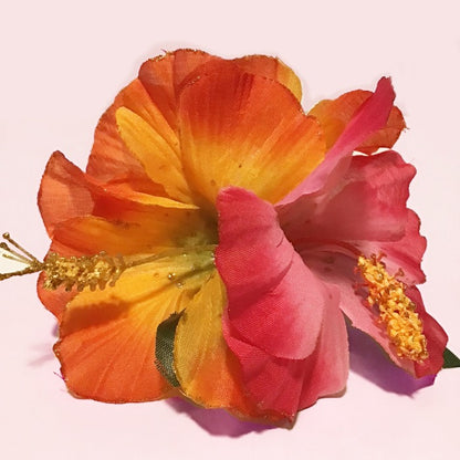 Hot Pink & Orange Hibiscuses