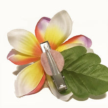 Load image into Gallery viewer, Simple Plumeria
