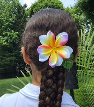 Load image into Gallery viewer, Simple Plumeria
