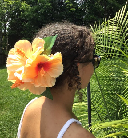 Orange Sunset Hibiscuses