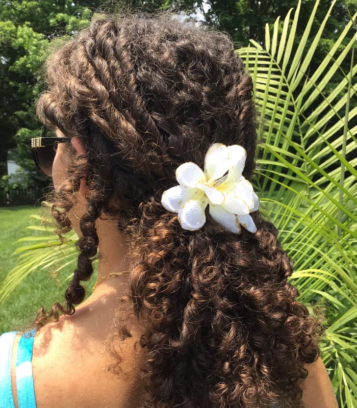 Mini White Plumerias